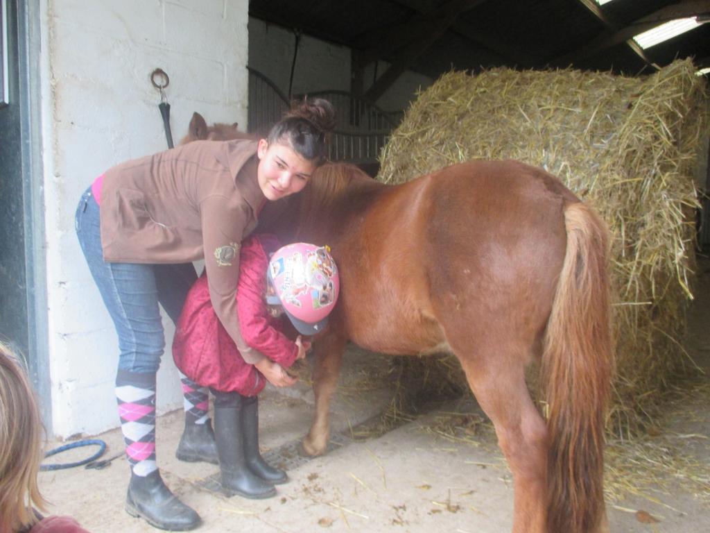 Gite Et Relais Equestre De Marie Tours-en-Vimeu Exterior photo
