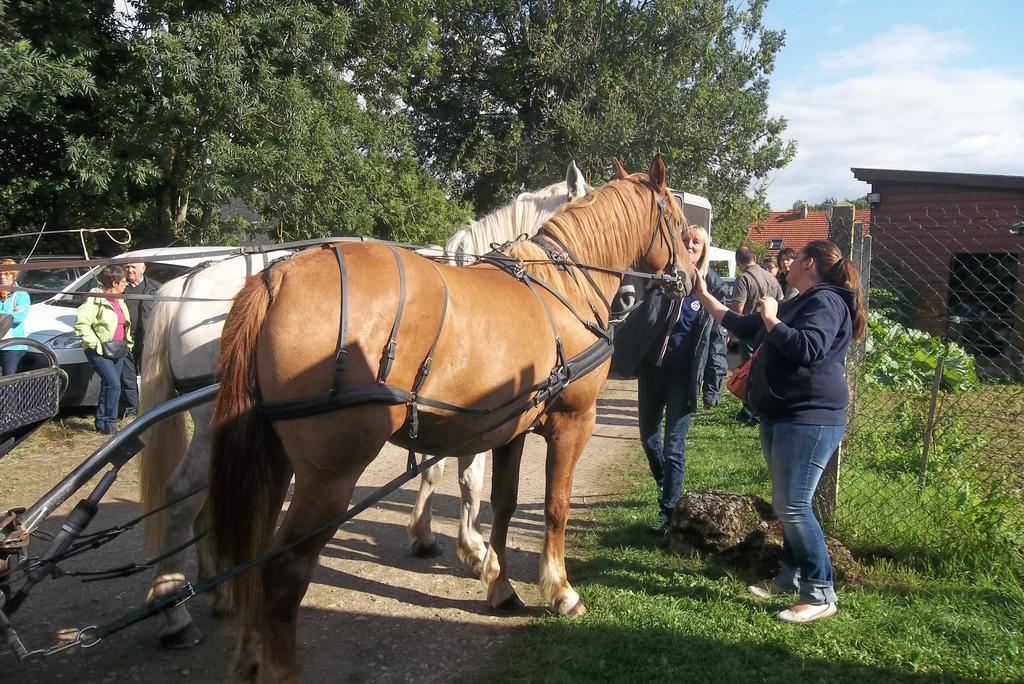 Gite Et Relais Equestre De Marie Tours-en-Vimeu Room photo