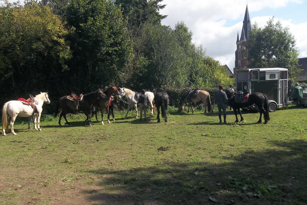 Gite Et Relais Equestre De Marie Tours-en-Vimeu Exterior photo