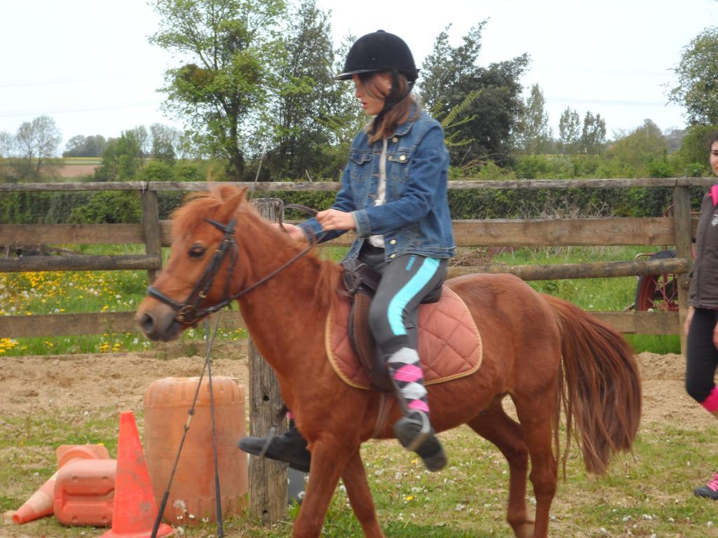 Gite Et Relais Equestre De Marie Tours-en-Vimeu Room photo