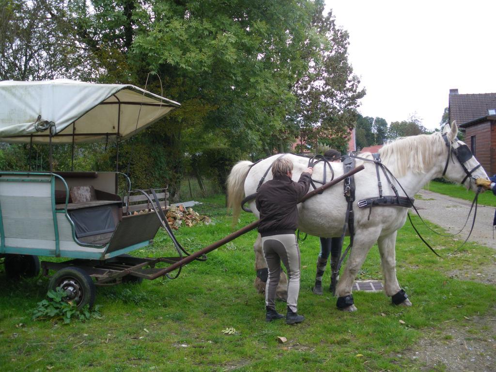 Gite Et Relais Equestre De Marie Tours-en-Vimeu Room photo
