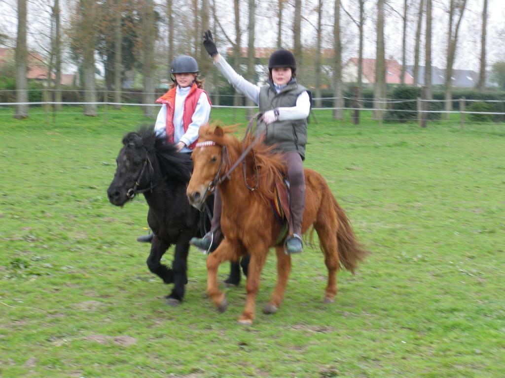 Gite Et Relais Equestre De Marie Tours-en-Vimeu Room photo